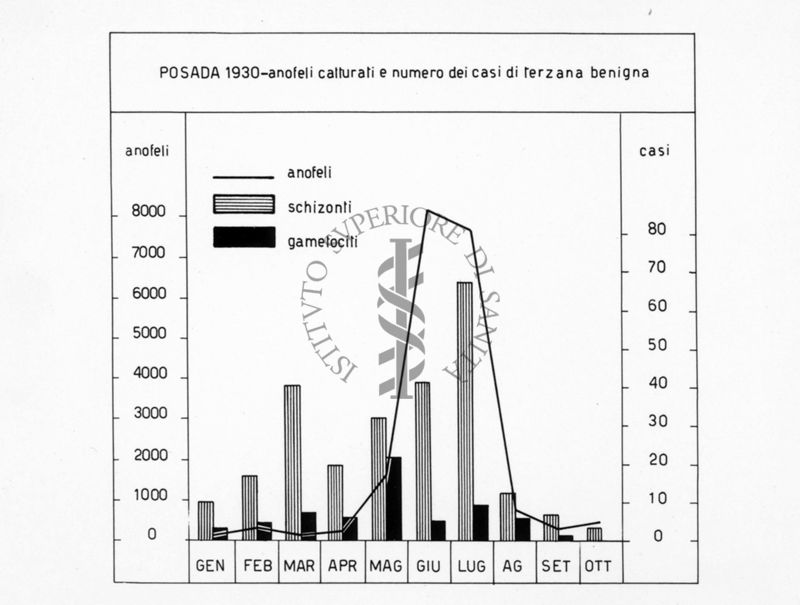 Diagramma riguardante il numero degli anofeli catturati nel 1930 a Posada e il numero dei casi di terzana benigna