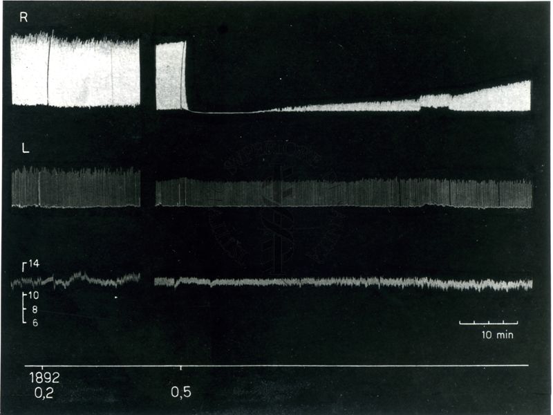 Azione di alcuni eteri fenolici sulla trasmissione neuro muscolare