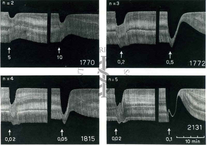 Azione di alcuni eteri fenolici sulla trasmissione neuro muscolare