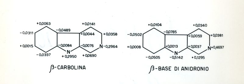 Lavoro sulla struttura delle basi di anidronio