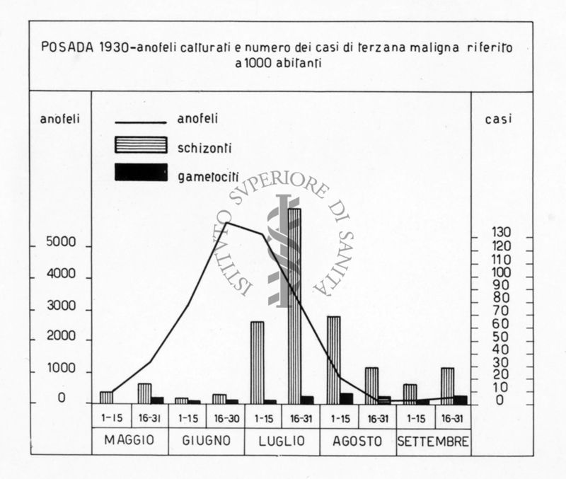 Diagramma riguardante il numero degli anofeli catturati nel 1930 a Posada e il numero dei casi di terzana maligna riferito a 1000 abitanti
