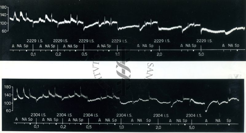 Grafici riguardanti l'attività dei derivati del benzodiossano