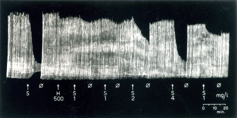 Azione dell'istamina sulla trasmissione neuromuscolare in relazione agli effetti di alcuni curari