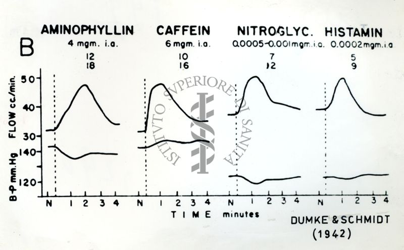 Farmacologia della circolazione cerebrale