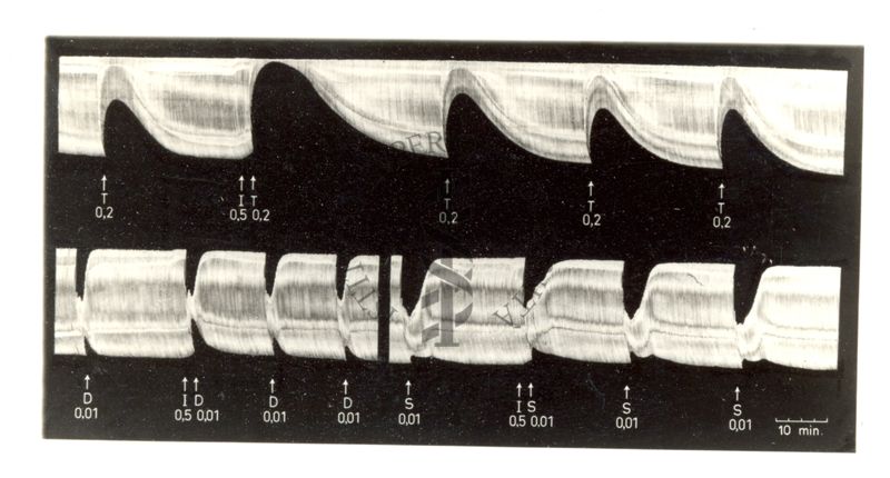 Azione di alcuni prodotti da Laboratorio sulla trasmissione neuromuscolare