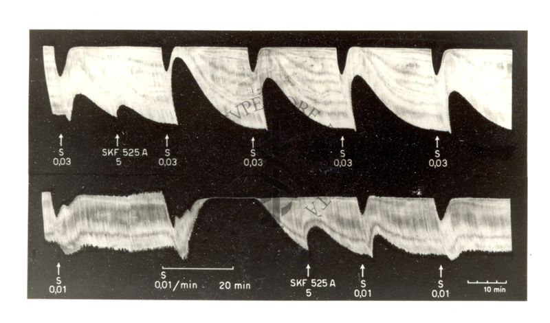 Azione di alcuni prodotti da Laboratorio sulla trasmissione neuromuscolare