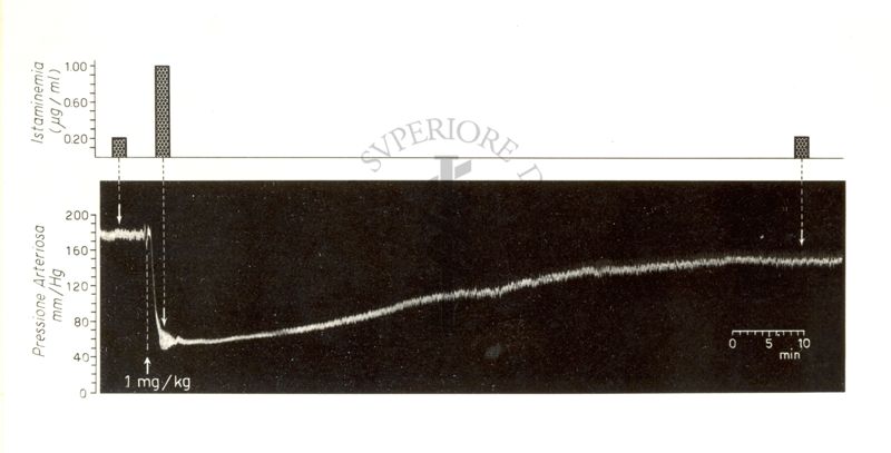 Grafico riguardante l'andamento della pressione arteriosa e dell'istaminemia nel cane dopo l'iniezione di 1665 I.S.