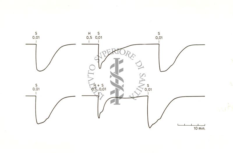 Azione delle istamine nei confronti della succinilcolina sulla trasmissione neuromuscolare