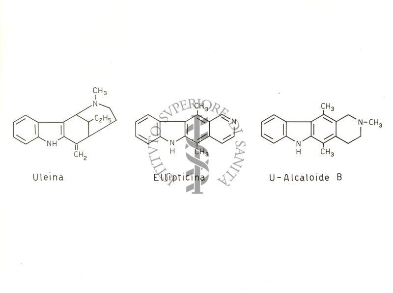 Alcaloidi delle Apocinacee