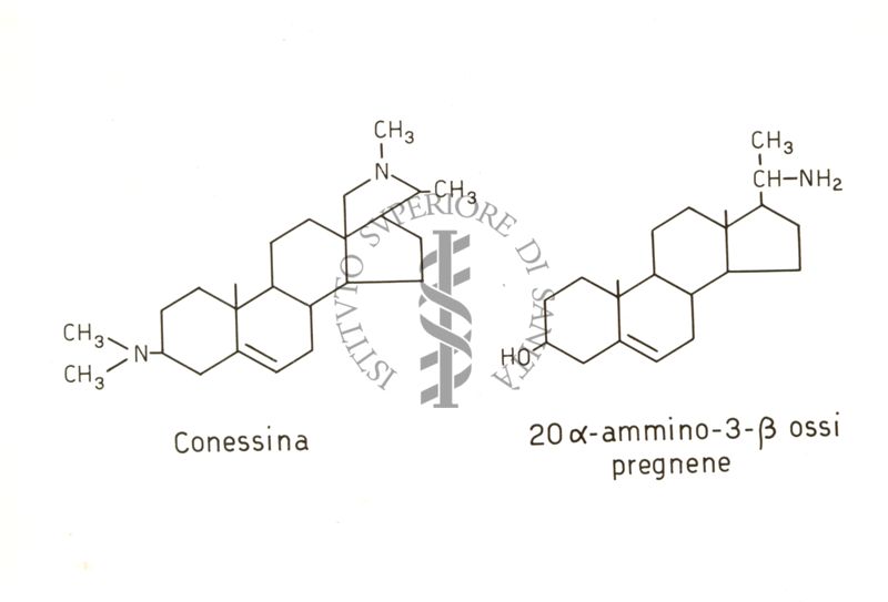 Alcaloidi delle Apocinacee