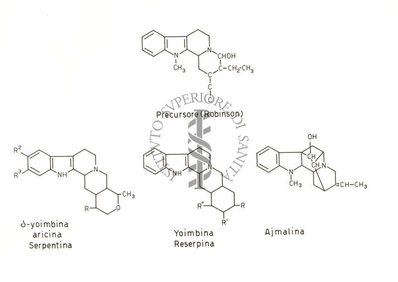 Alcaloidi delle Apocinacee