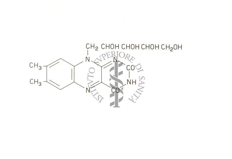 Riboflavina