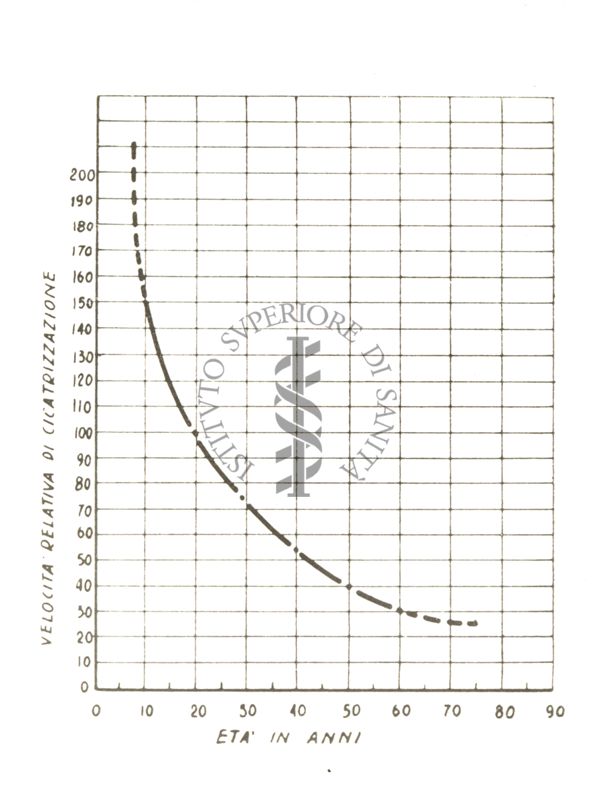 Fisiologia della senescenza