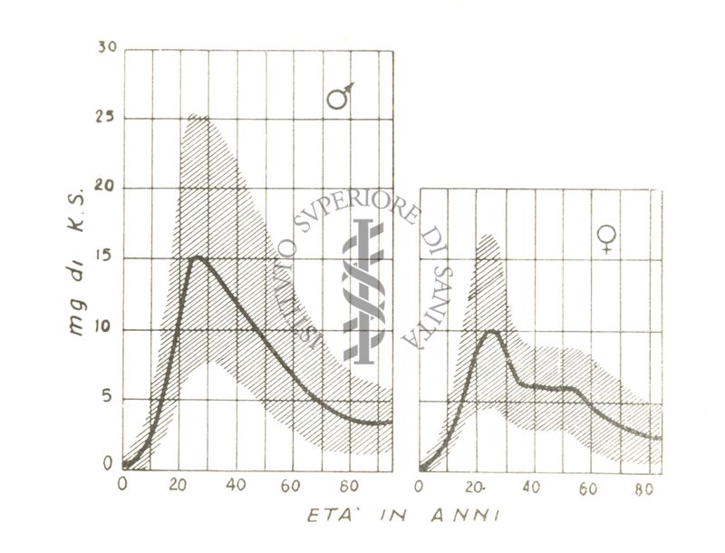 Fisiologia della senescenza