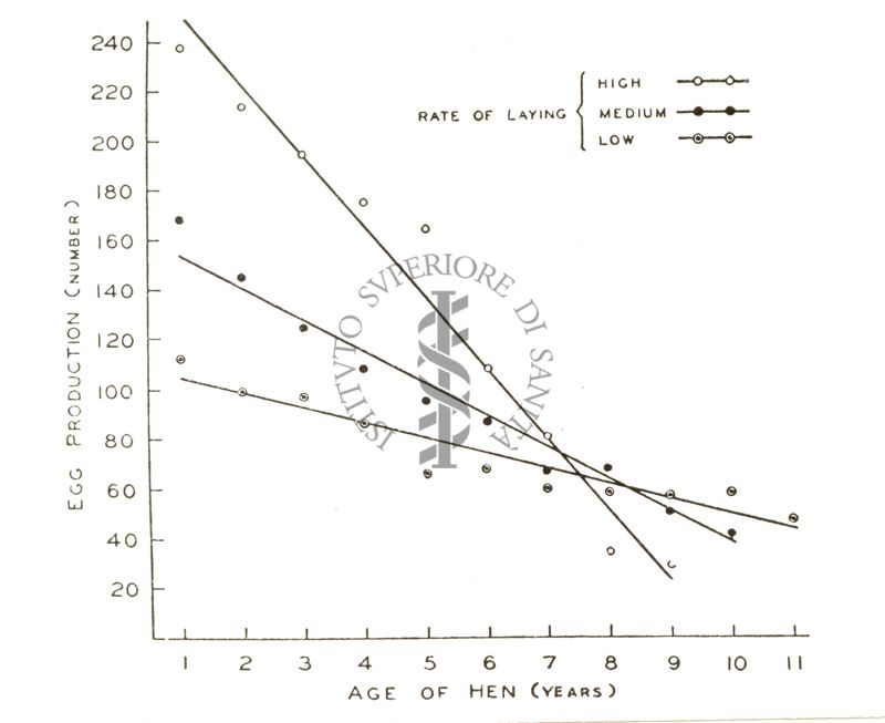 Fisiologia della senescenza