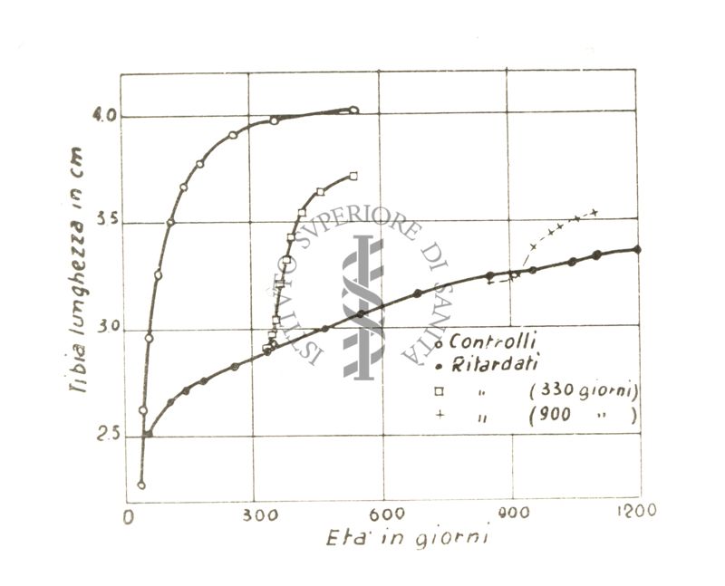 Fisiologia della senescenza