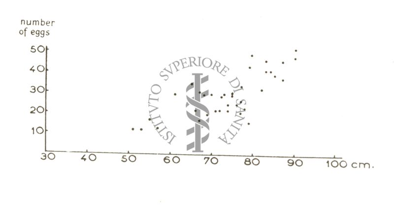 Fisiologia della senescenza