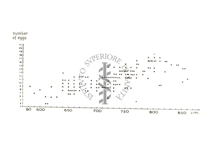 Fisiologia della senescenza