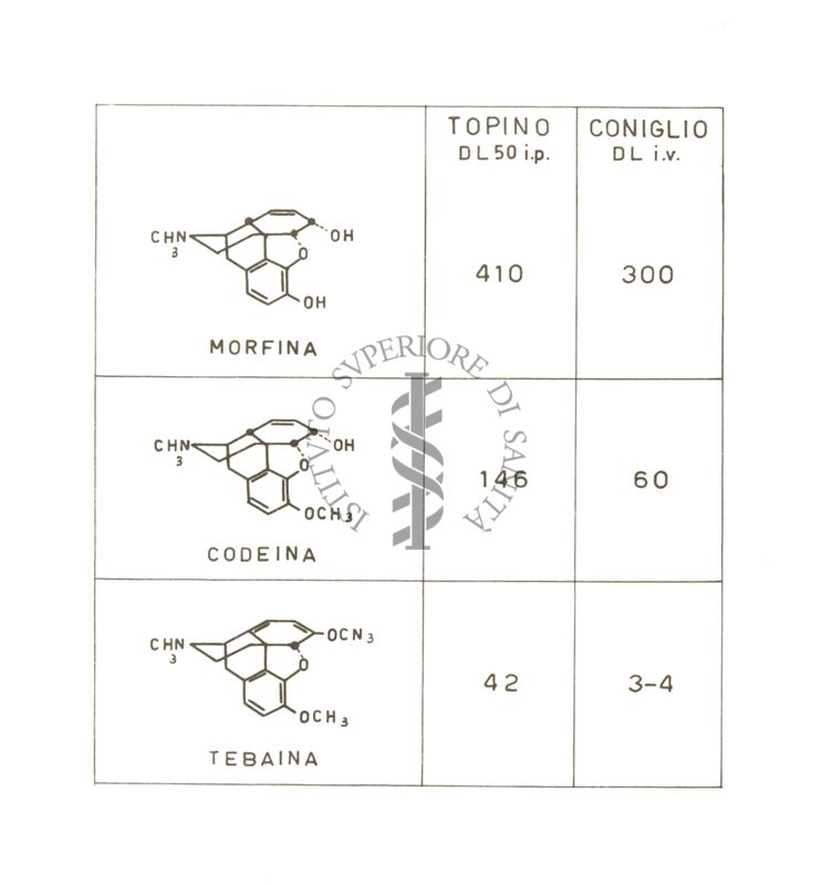 Elettroencefalogrammi di conigli