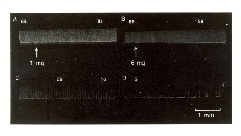 Lavoro sul 2099 I.S. - Derivato del Bispidoli Cardio Tossico