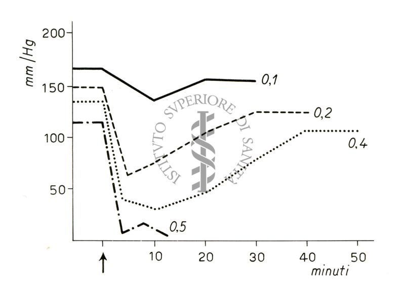 Lavoro sul 2099 I.S. - Derivato del Bispidoli Cardio Tossico