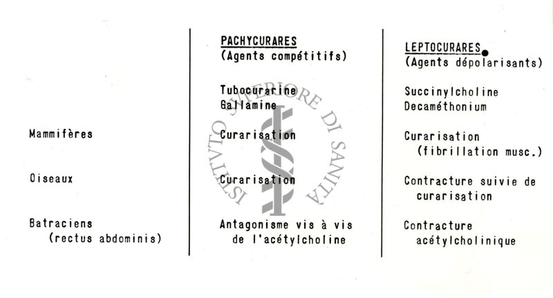 Farmacologia dei curari di sintesi