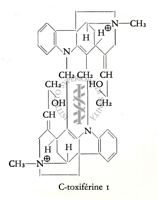 Farmacologia dei curari di sintesi