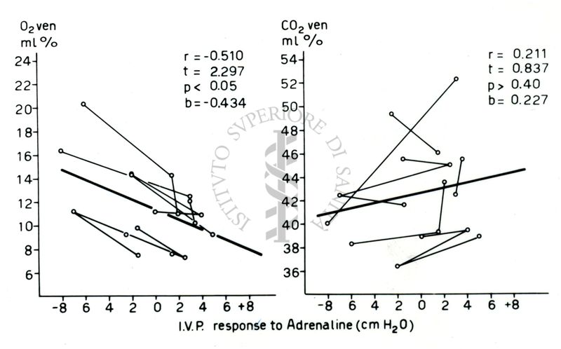 Circolazione cerebrale: rapporti con i gas del sangue