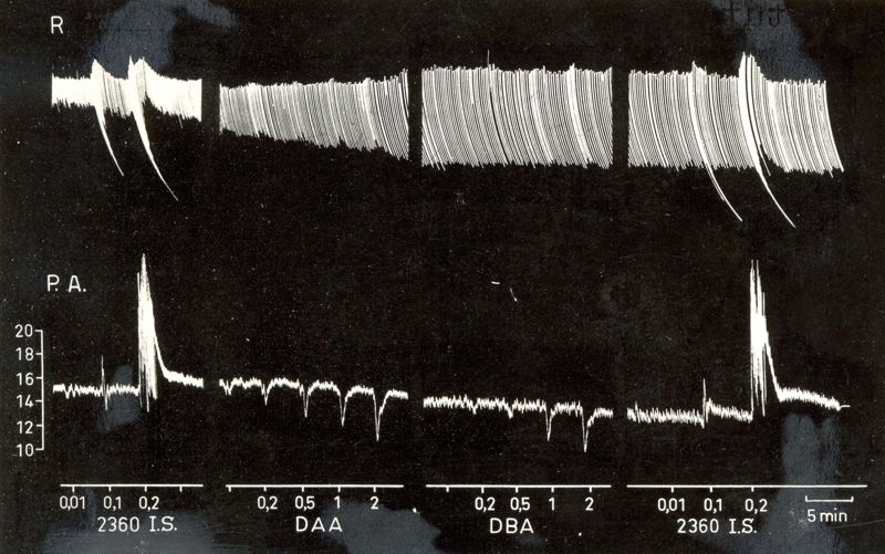 Effetto di alcuni initrini sulla pressione arteriosa del cane