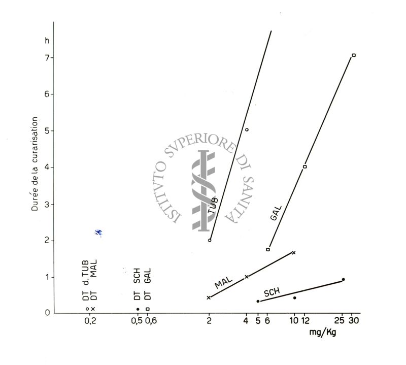 Tracciati elettroencefalografici