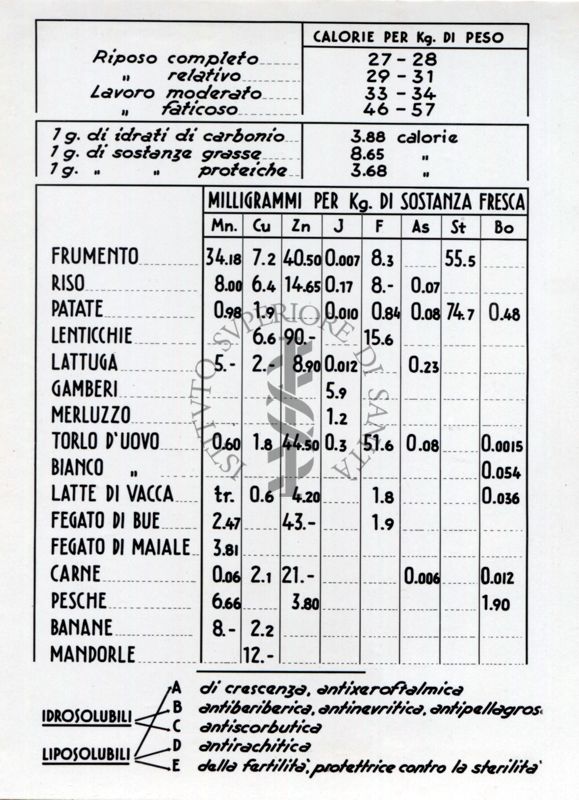 Composizione media di alcuni alimenti