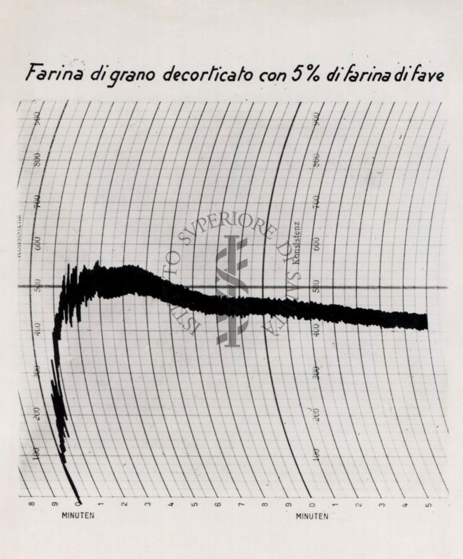 Prova di panificazione con farine miscelate