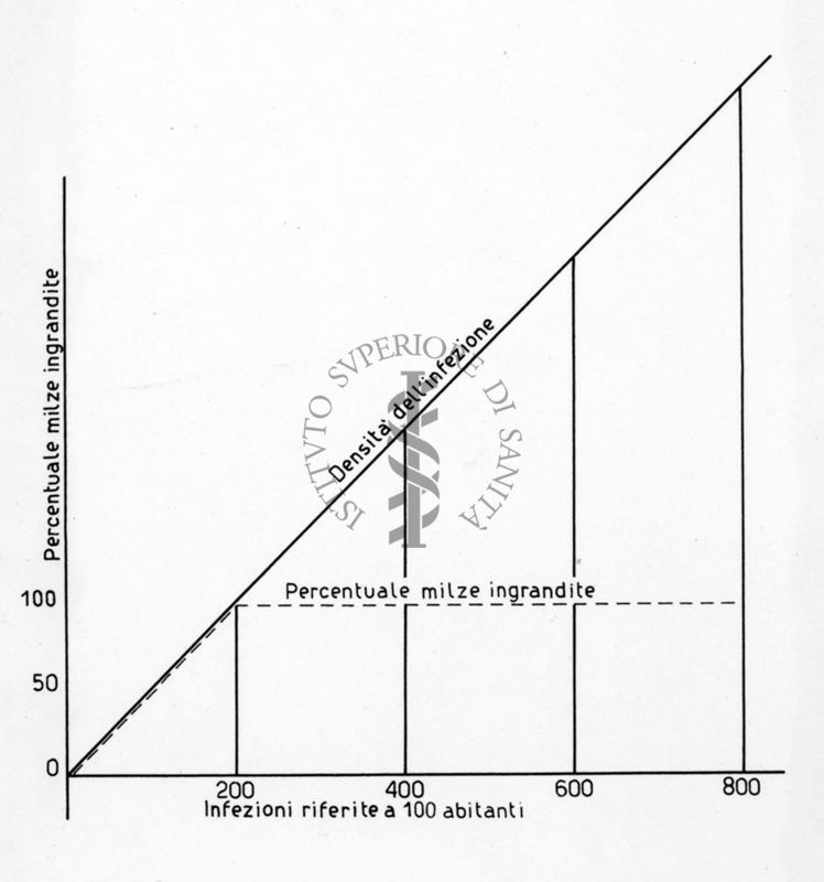 Diagramma riguardante la densità dell'infezione della malaria