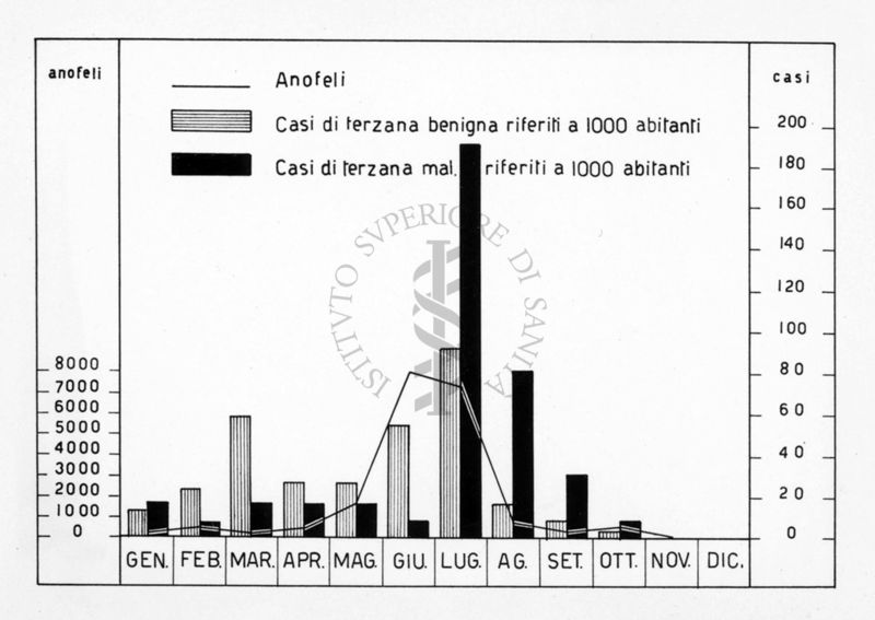 Diagramma riguardante la Malaria e gli Anofeli a Posada