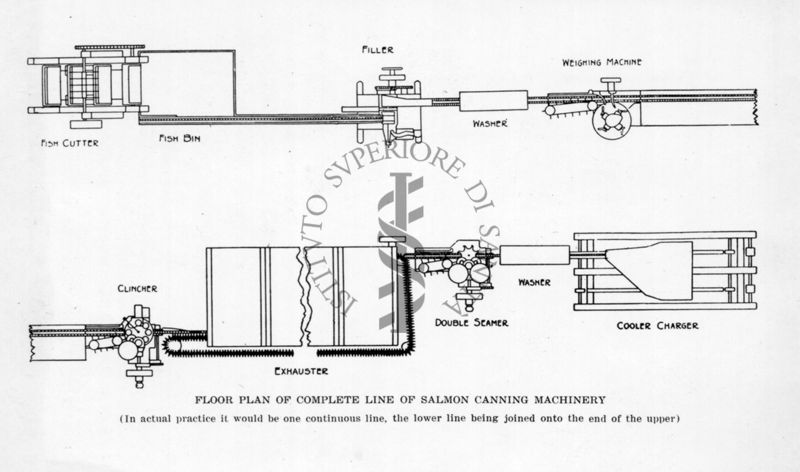 Schema d'impianto per la lavorazione del salmone in scatola
