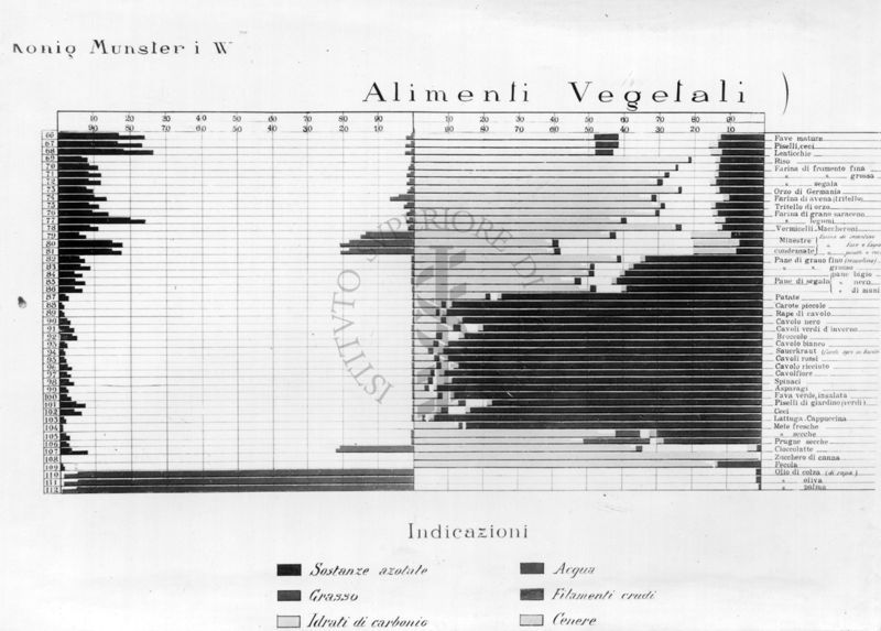 Diagramma riguardante gli alimenti vegetali