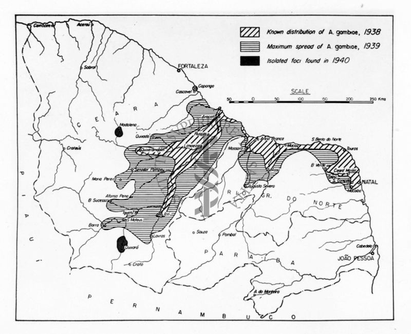 Grafico raffigurante la diffusione delle Anopheles gambiae nel Brasile