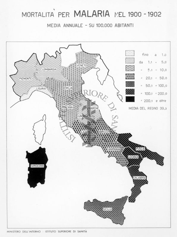 Cartogramma riguardante la mortalità per malaria nel periodo 1900 -1902