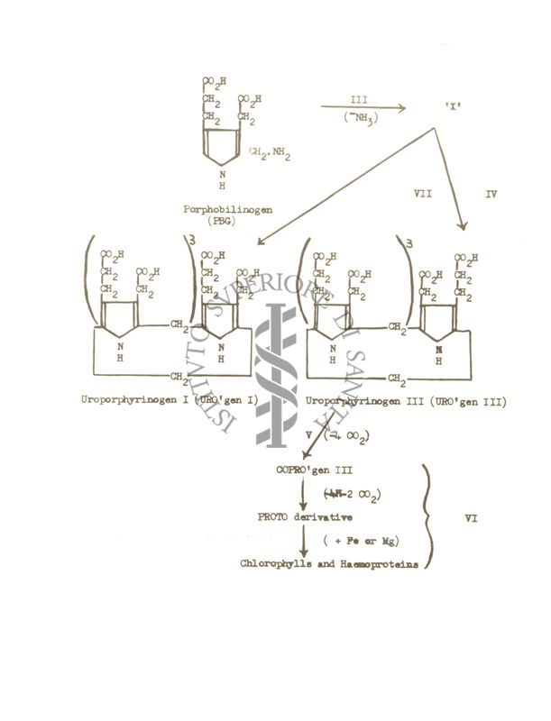 Immagine di una composizione chimica relativa alla conferenza tenuta dal Prof. Neuberger nell'Aula Magna dell'Istituto Superiore di Sanità