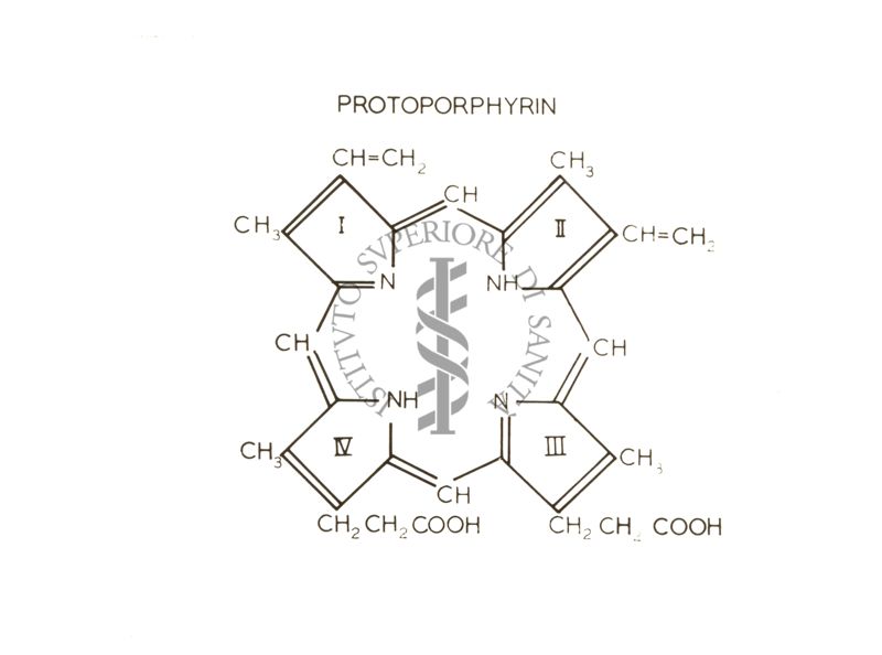 Immagine dei legami chimici della protoporfirina riferita alla conferenza tenuta dal Prof. Neuberger nell'Aula Magna dell'Istituto Superiore di Sanità