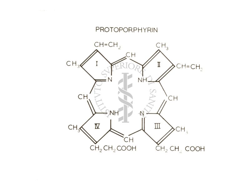 Immagine dei legami chimici della protoporfirina riferita alla conferenza tenuta dal Prof. Neuberger nell'Aula Magna dell'Istituto Superiore di Sanità