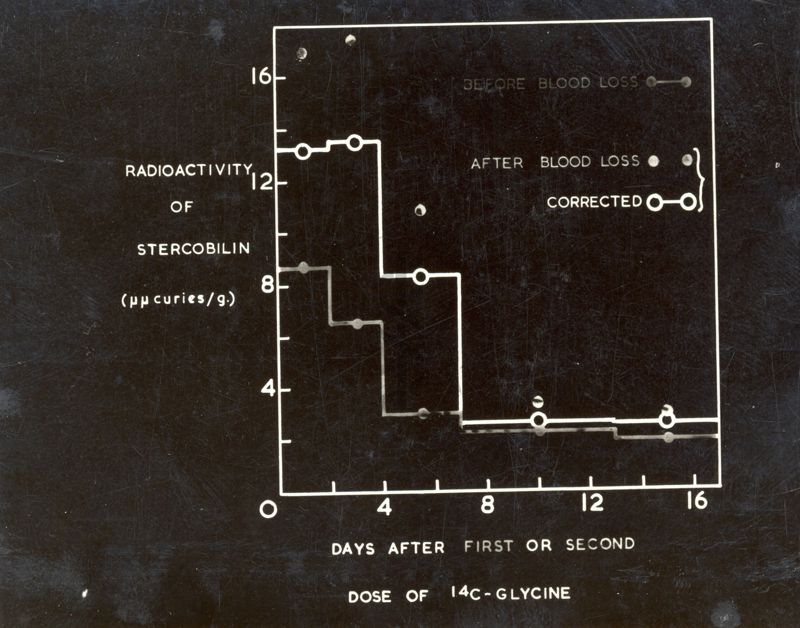 Grafico su sfondo nero riferito alla conferenza tenuta dal Prof. Neuberger nell'Aula Magna dell'Istituto Superiore di Sanità