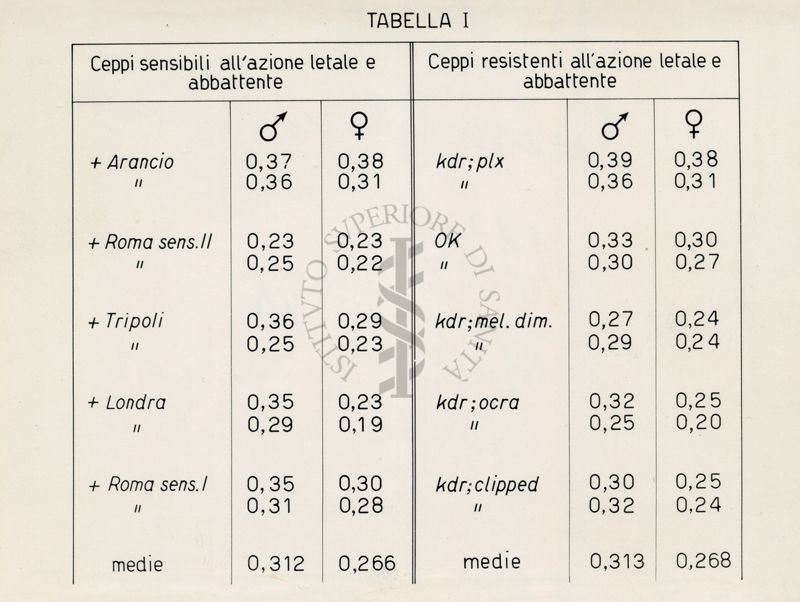 Tabella riguardante l'attività colinesterasica in ceppi di musca domestica sensibili e resistenti al D.D.T.