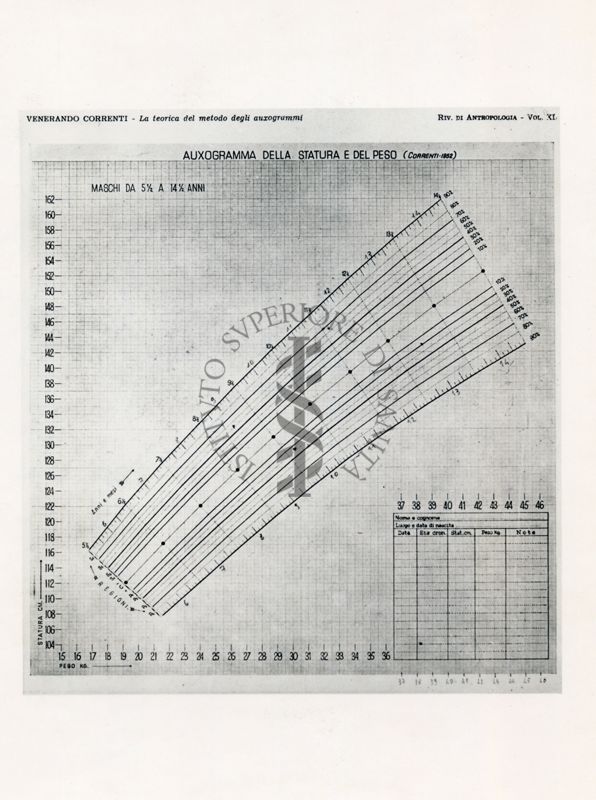 Auxogramma della statura e del peso