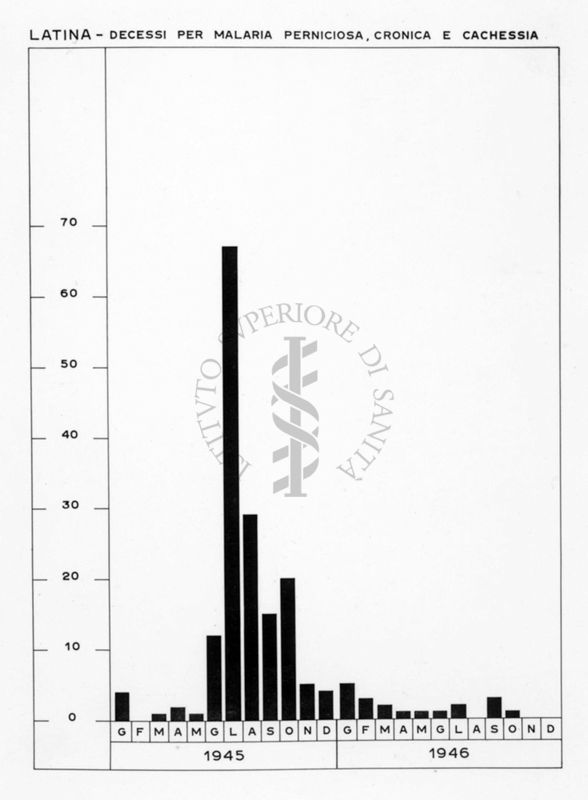 Diagramma riguardante i decessi per Malaria Perniciosa e Cachessia a Latina (1945-46)