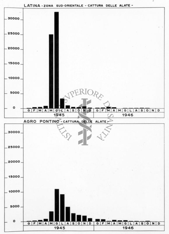 Diagramma riguardante la cattura delle alate a Latina e Agro Pontino negli anni 1945-46