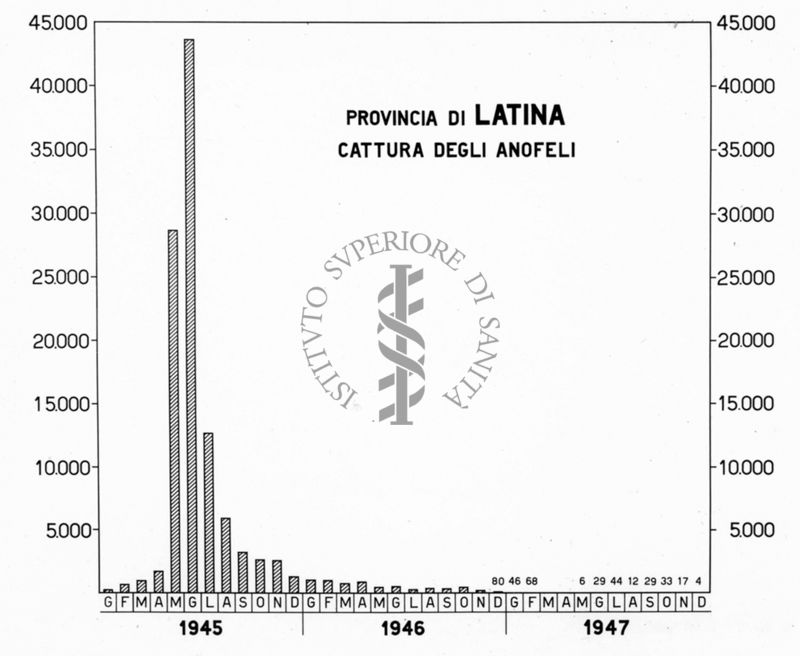 Istogramma riguardante la cattura degli Anofeli nella Provincia di Latina. Dati mensili nel triennio 1945-1947
