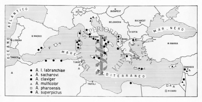 Cartogramma riguardante la distribuzione delle varie specie di zanzare in Europa