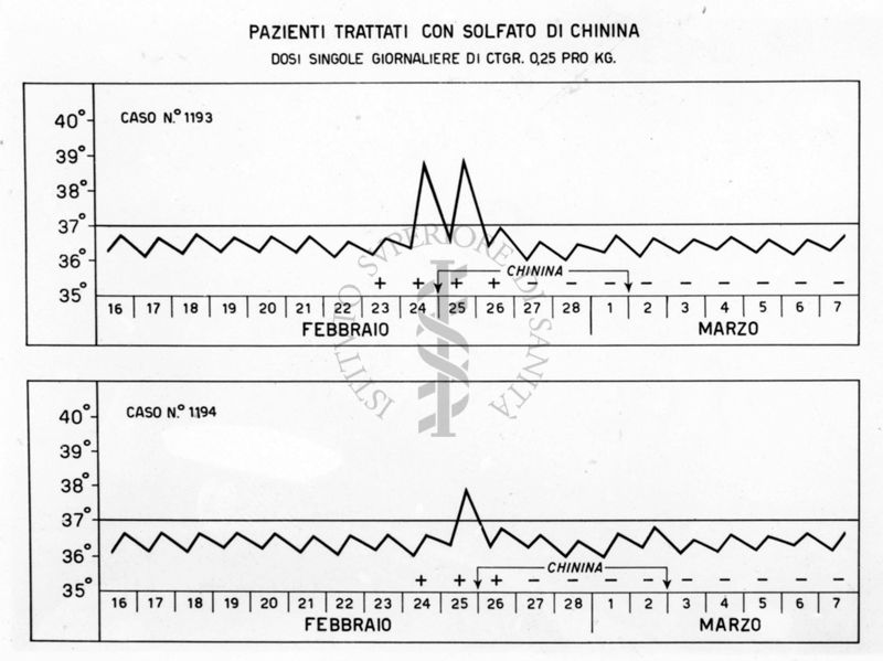 Diagramma riguardante i pazienti trattati con Solfato di Chinina