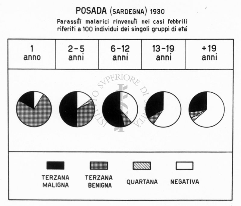 Diagramma riguardante i parassiti malarici rinvenuti nei casi febbrili riferiti a 100 individui dei singoli gruppi di età a Posada (Sardegna)